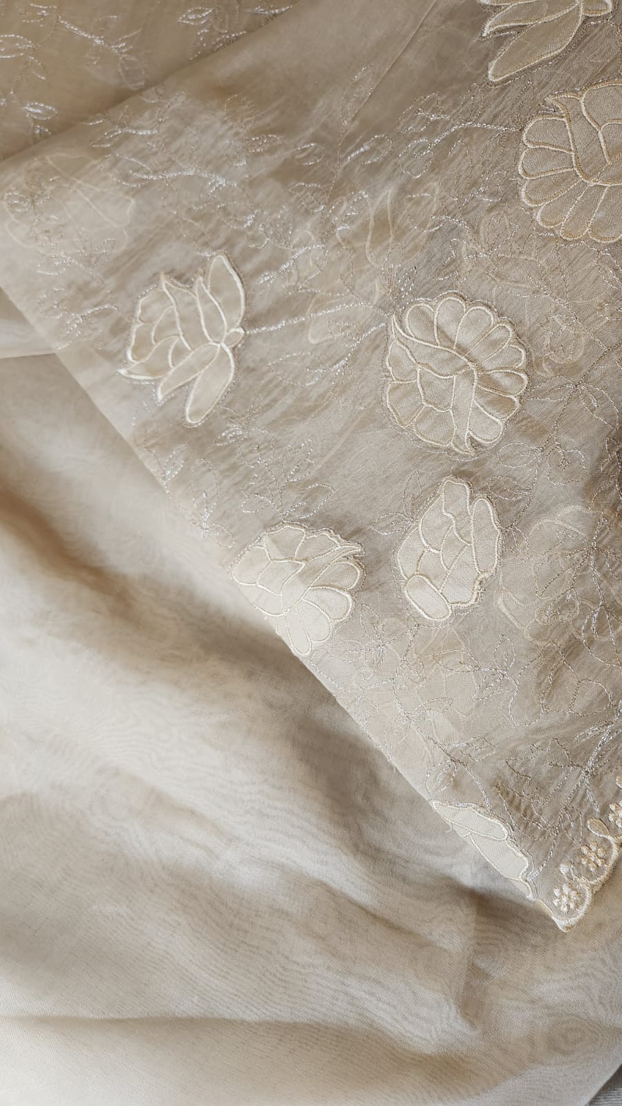 Chiku Glass Tissue Saree with Floral Embroidery & Scallop Border