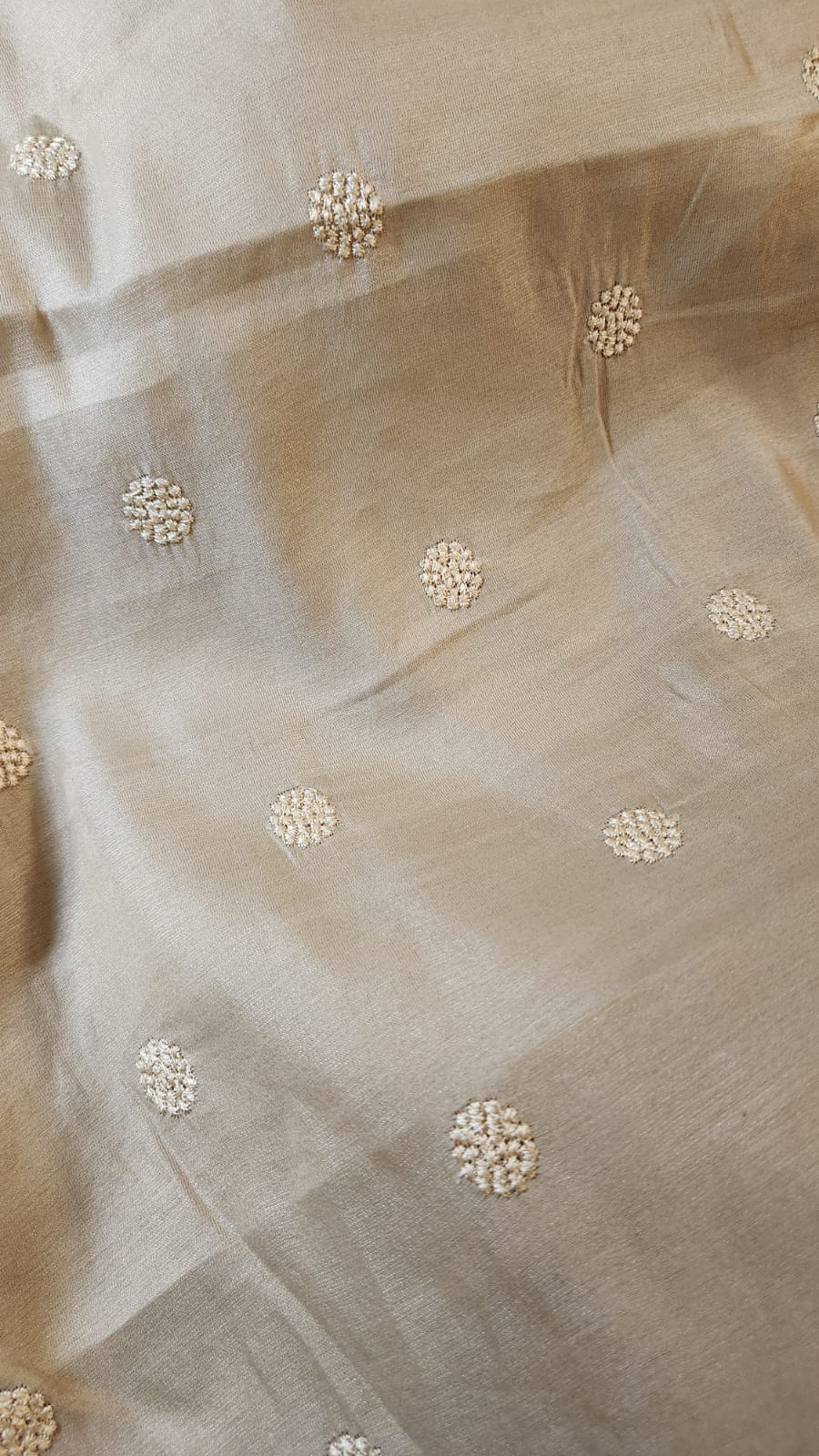Chiku Glass Tissue Saree with Floral Embroidery & Scallop Border