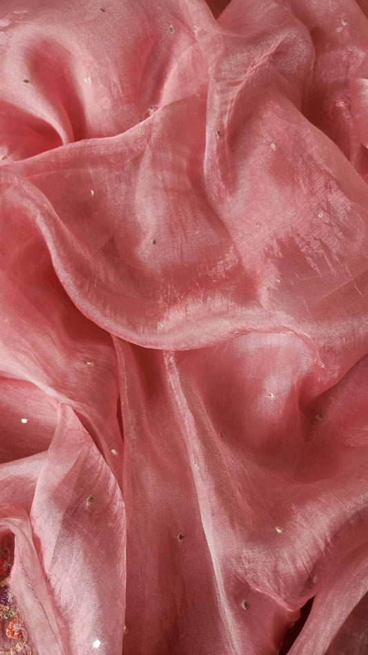 Baby Pink Glass Tissue Saree with Embroidered Blouse | Vintage Vogue Boutique